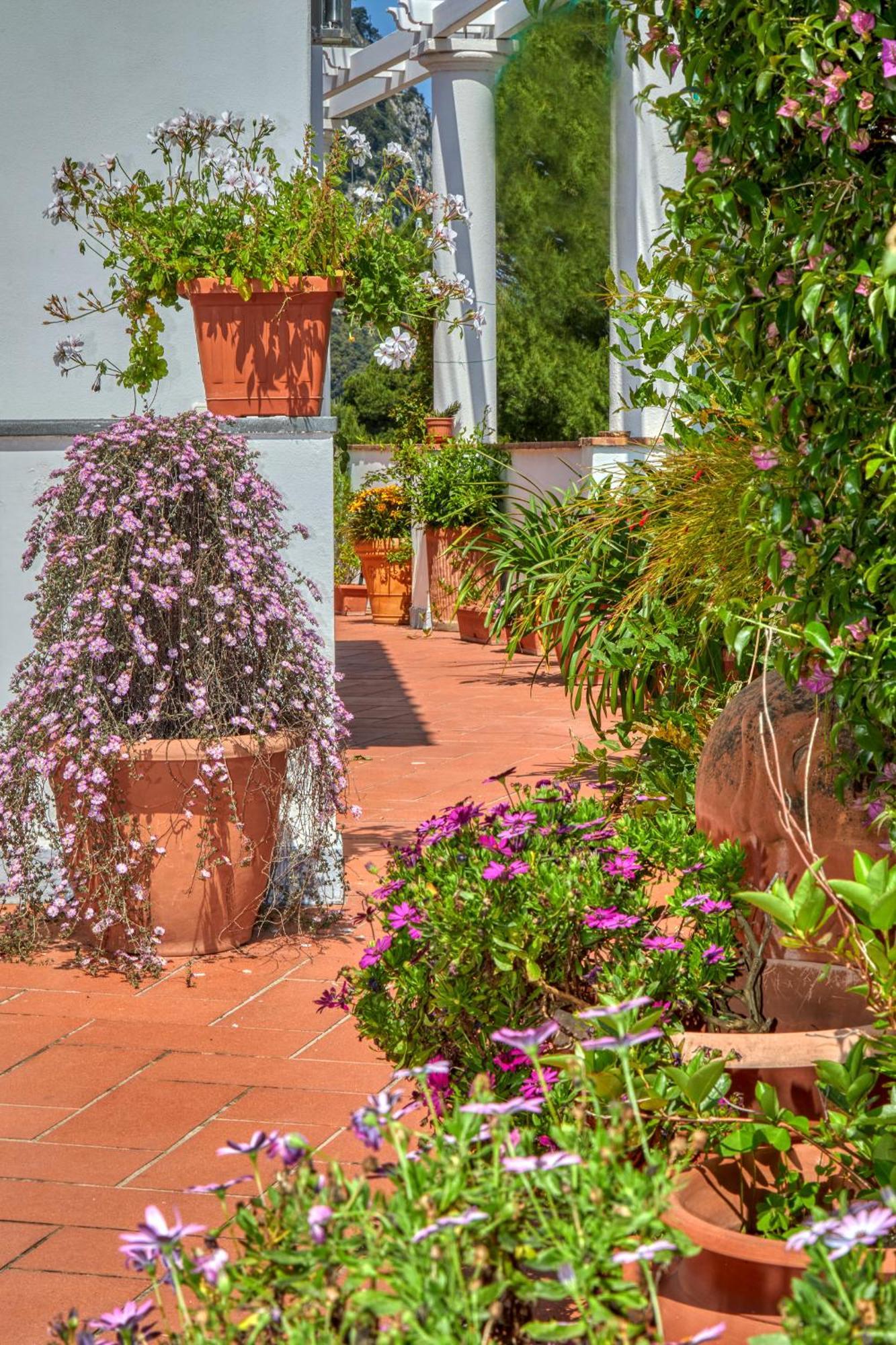 Acquaviva 31 Bed & Breakfast Capri Exterior photo